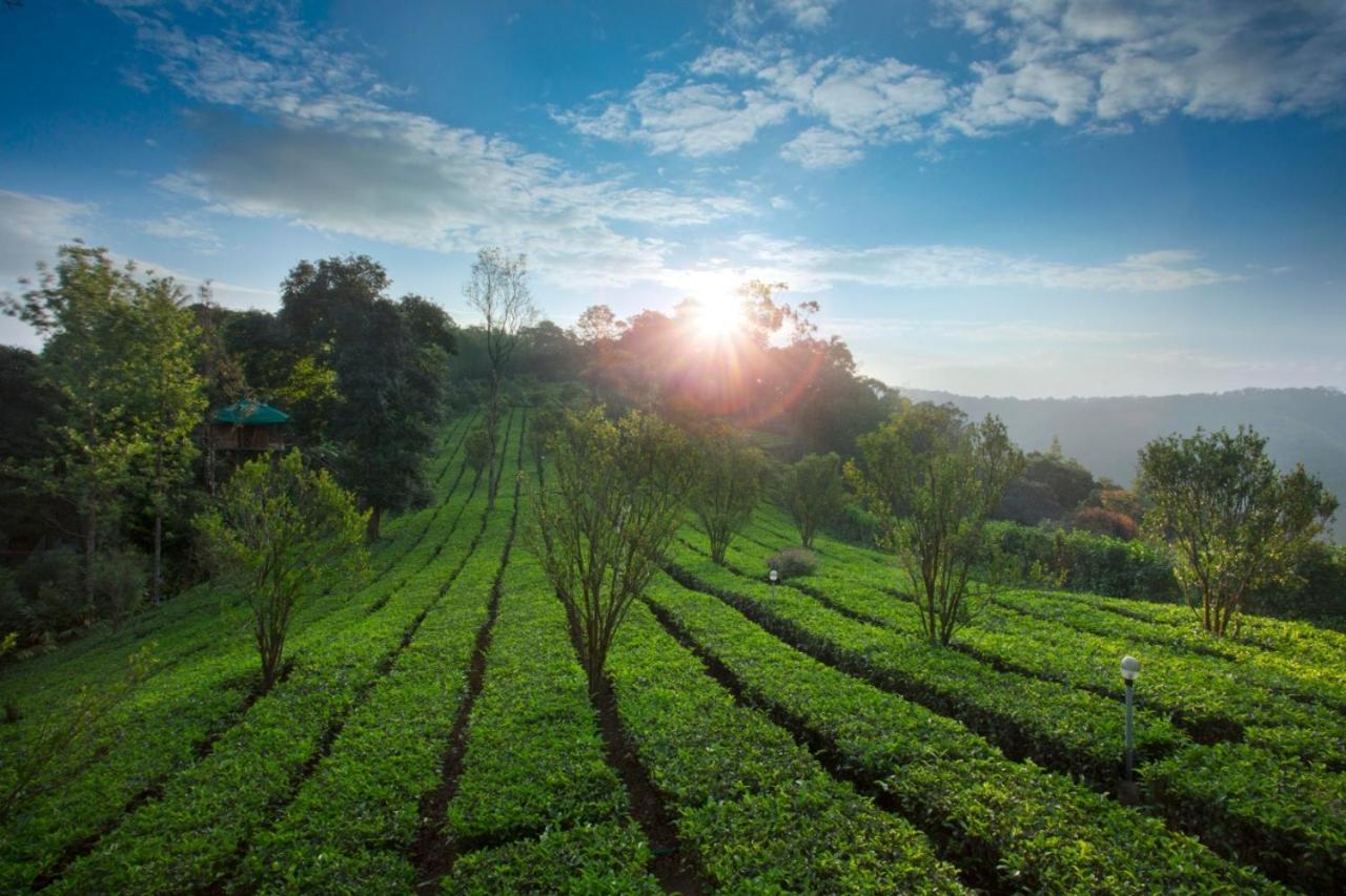 Sisiram River Side Munnar Buitenkant foto