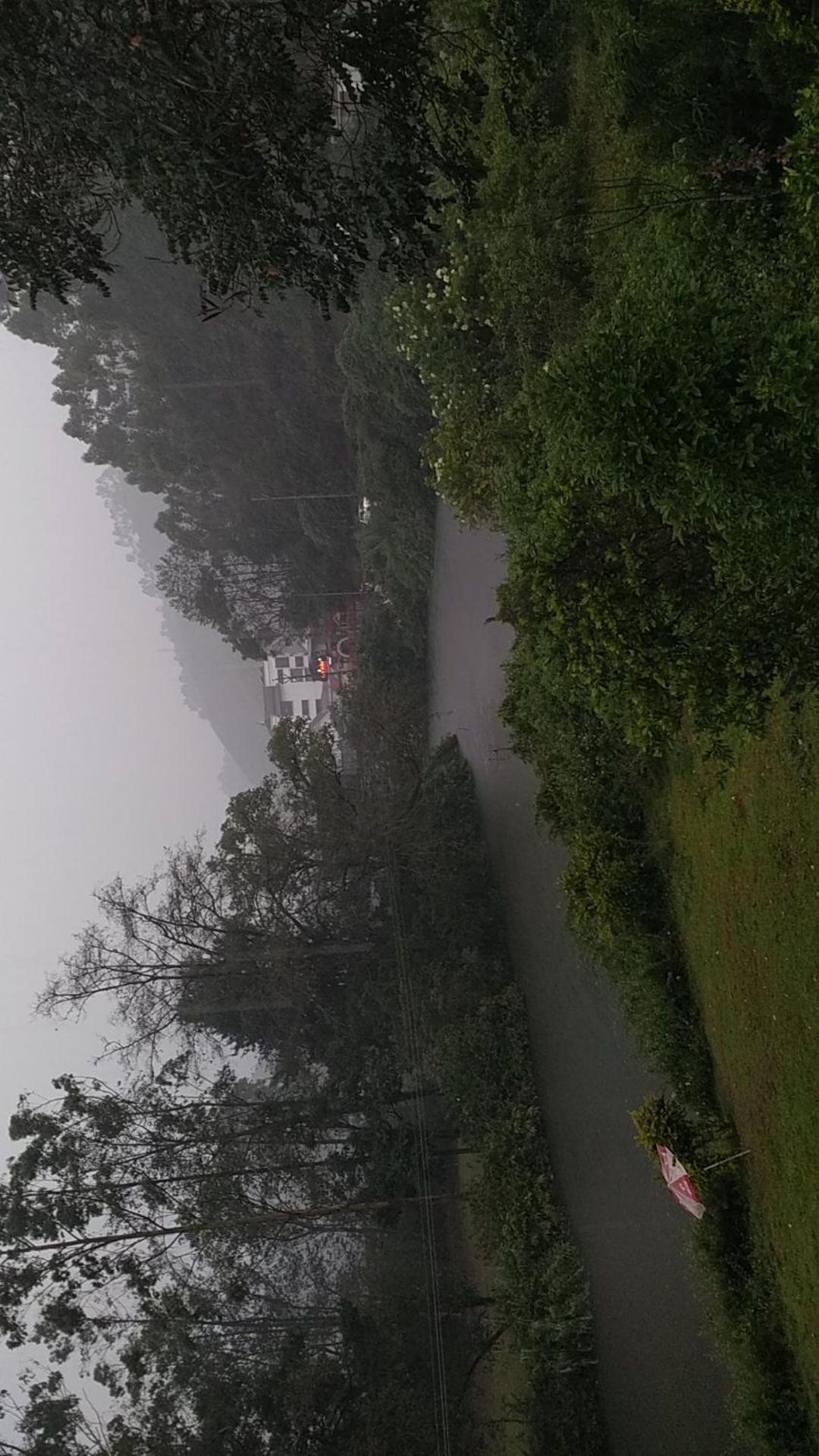 Sisiram River Side Munnar Buitenkant foto
